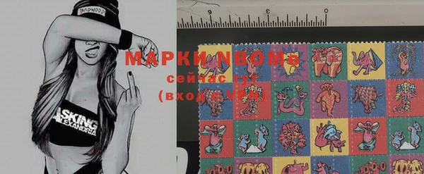 кокс Каменногорск