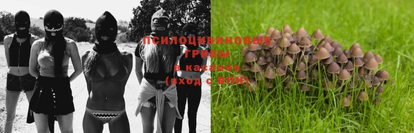 винт Каменск-Шахтинский