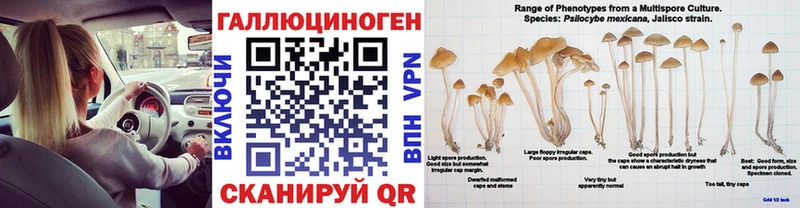 Псилоцибиновые грибы мицелий закладка Приволжский
